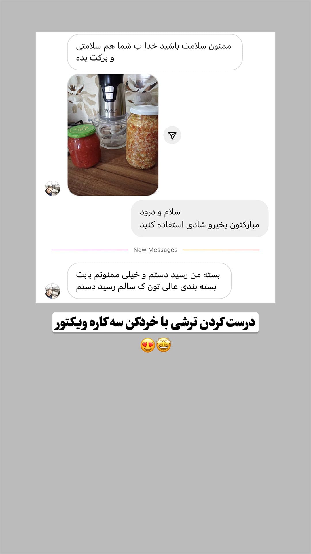 خرید خردکن 3 کاره ویکتور مدل VK1003CH با بهترین قیمت | پیمان بابا